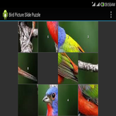 Bird Jig Saw Puzzle icon