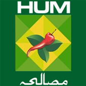 Masala TV Recipes icon