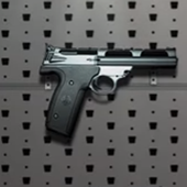 Weapons Simulator Guide icon