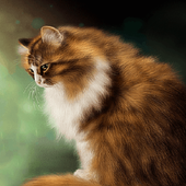Brown Cat Live Wallpaper icon