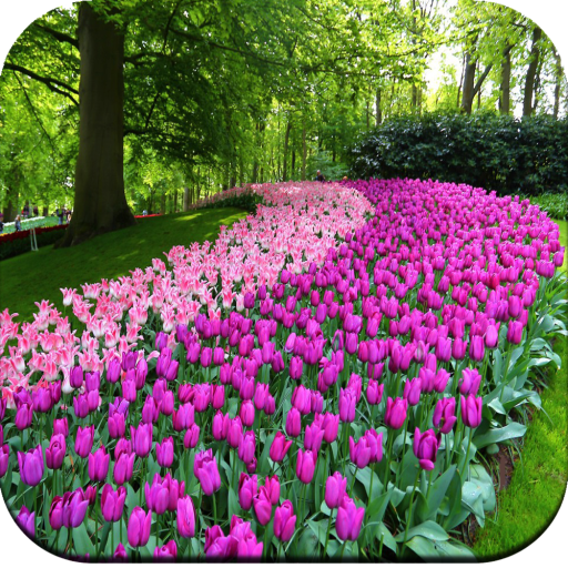 Garden Wallpaper icon