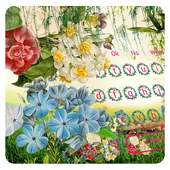Color Flower Keyboard icon