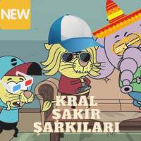 Kral Yeni Şakir Şarkıları(in-ter-net-siz)