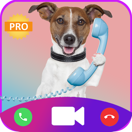 Fake call from cute Dog Instant prank call video🐶 icon