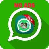 Love Videos Live on 9Apps