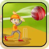 Cricket for Fan - Free