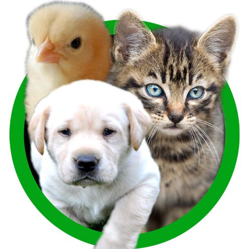 Animal Sounds for Kids - Baby Animals icon