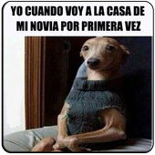 Imagenes de Risa أيقونة