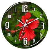 Hibiscus Clock Live Wallpaper icon