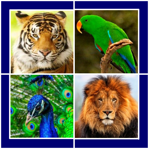 Animals and Birds icon