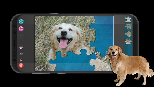 Golden Retriever Dogs screenshot 4