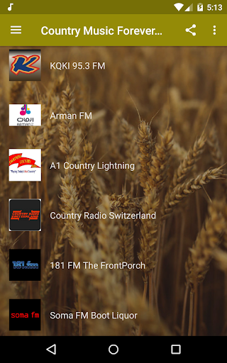 Country Music Radio screenshot 2