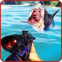 Shark Hunter 2018 Crazy 3D
