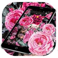 Pink Rose Skeleton Romantic Theme on 9Apps