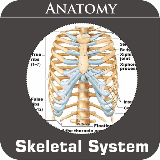 Skeletal System icon