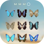 Butterfly Lock Screen icon