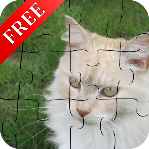 Curious Cats Jigsaw Puzzle icon