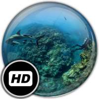 Panorama Wallpaper: Diving on 9Apps