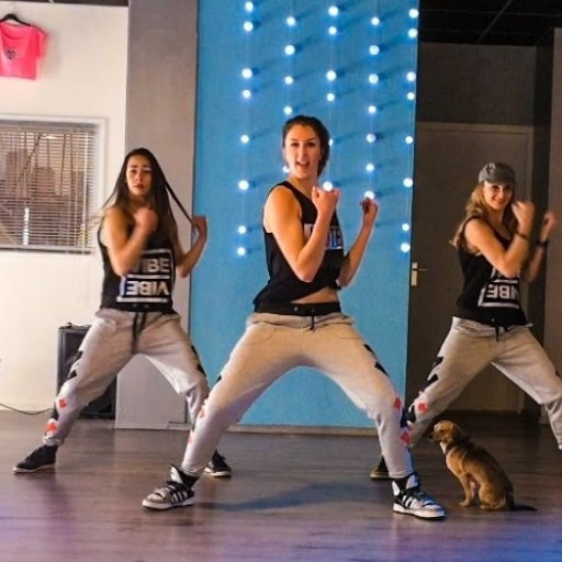 Zumba Latest Videos Offline icon