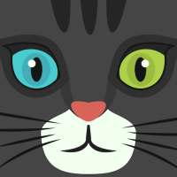 Maneki Torrent Search on 9Apps