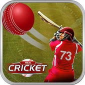Play Cricket Matches icon