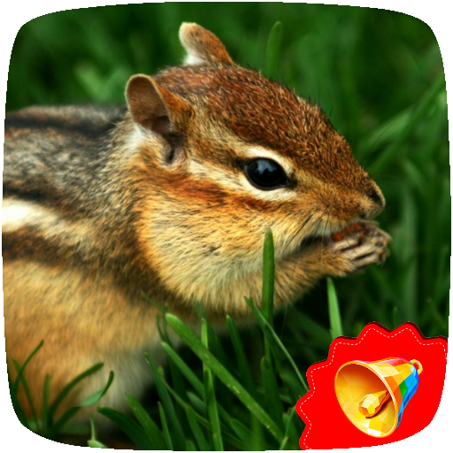 Chipmunk Sounds icon