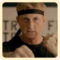 cobra kai free new game