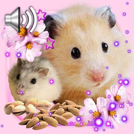 Hamsters Funny Live Wallpaper icon