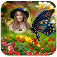 Butterfly Photo Frames on 9Apps