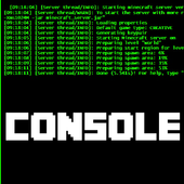 Server Minecraft Console icon