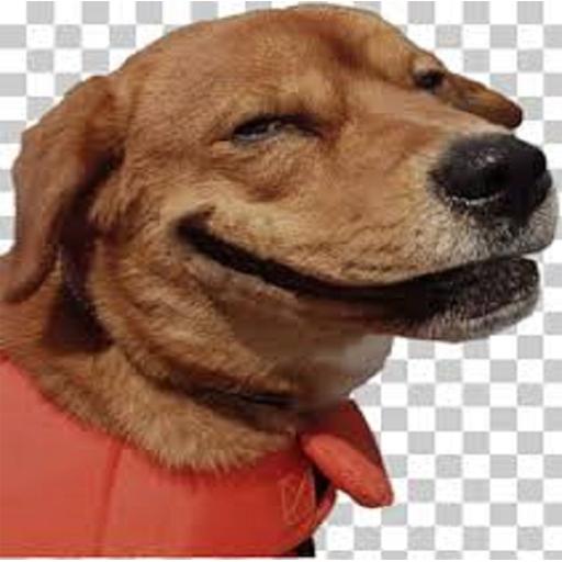 DOG MEMES icon