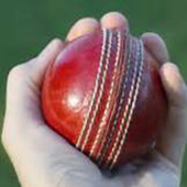 Dream11 Prediction icon