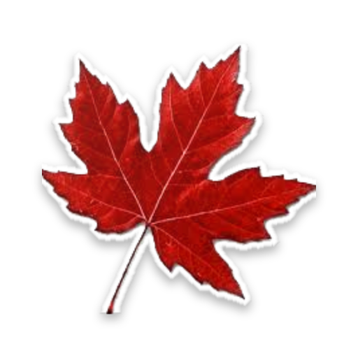 Prepare 4 Citizenship icon