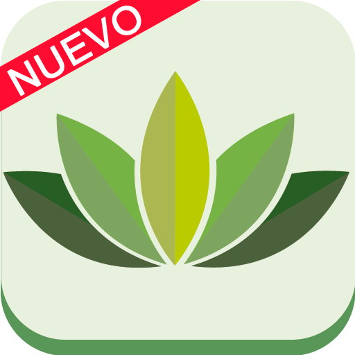 Mascarillas caseras de belleza icon