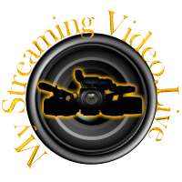 My Streaming Video App on 9Apps