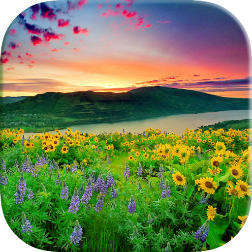 Scenery Wallpaper icon