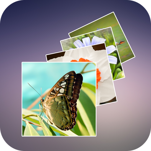 Photo Animated Wallpapers icon