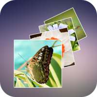 Photo Animated Wallpapers on 9Apps