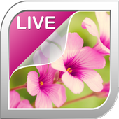 Flowers Live Wallpaper icon