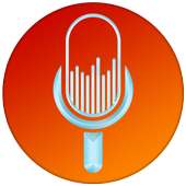 Fast Voice Search on 9Apps