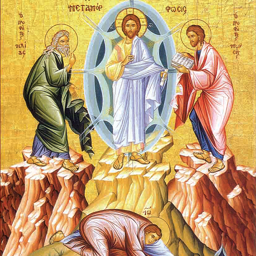 My Metamorfosis icon