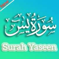 Surah Yaseen – Urdu English Translation 2019 on 9Apps