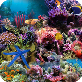 Aquarium Live Wallpaper icon