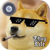 MLG Thug Life Photo Editor on 9Apps