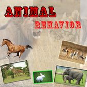 Animal Behavior icon