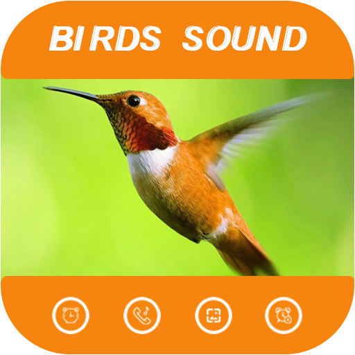 Latest Birds sound ringtone  - Birds Tweet Rington icon