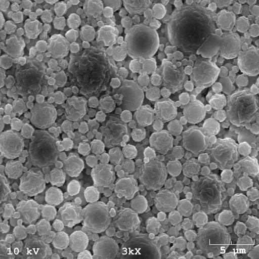 Virología en preguntas icon