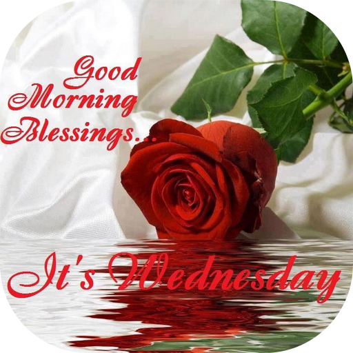 ikon Good morning Flower Wallpapers Colorful Roses 4K