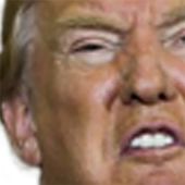 Trump Super-Classy Soundboard icon