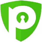 Pure Plus VPN icon